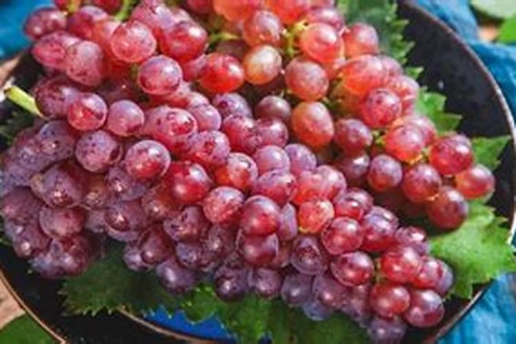 葡萄干属于农资产品吗