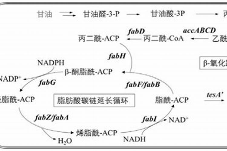 西安桶装水价格普遍在多少钱一桶？