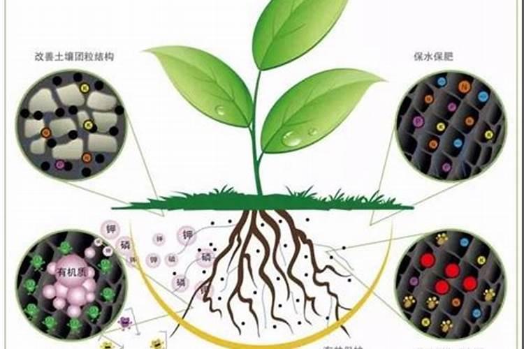 植物只能通过光合作用摄取有机物,不能直接吸收有机物？？