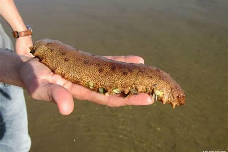 氨磷钾肥料对人有毒吗？