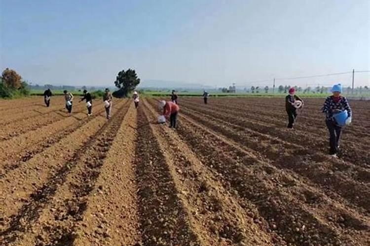 好消息!科学家宣布在金星上发现疑似生命存在的迹象