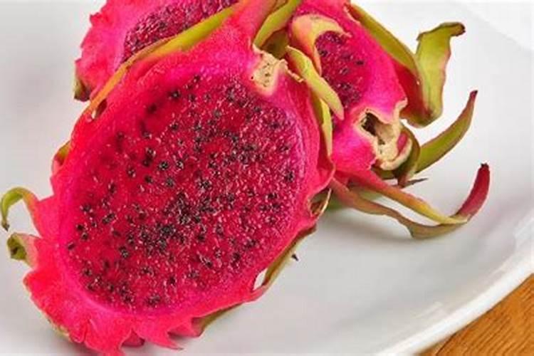 杉木树价格多少钱一棵