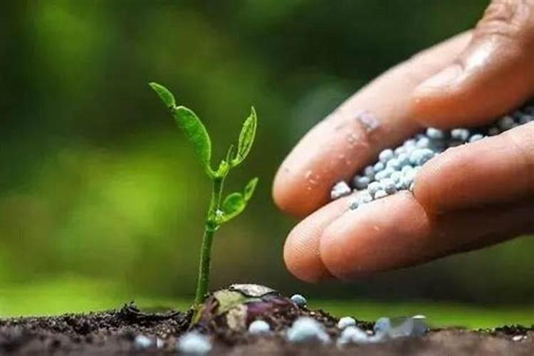 高温能不能打水溶肥？