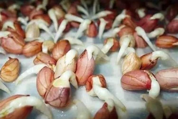 什么食物富含锌硒