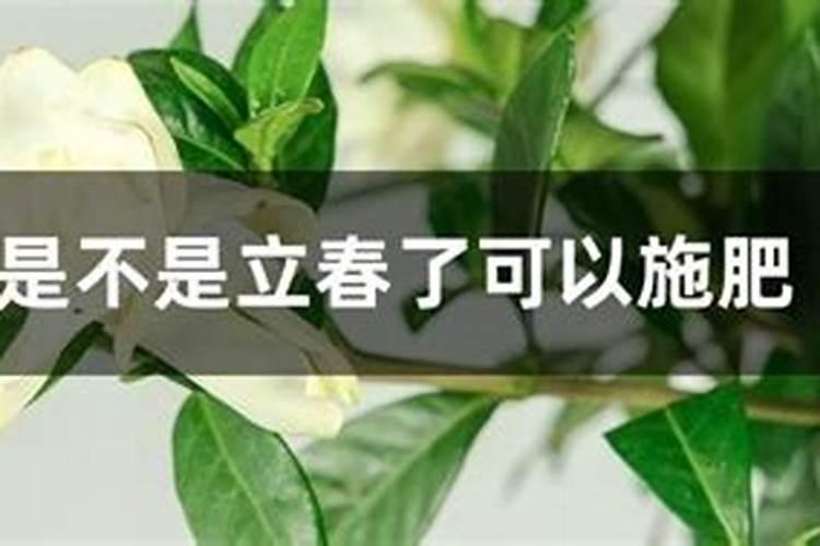 底肥可以用矿源黄腐酸钾吗？底肥怎么用效果好？