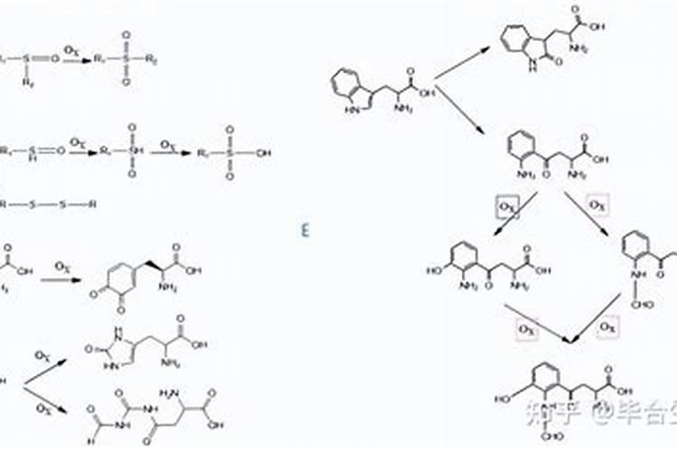 多肽氮肥与多肽尿素的区别