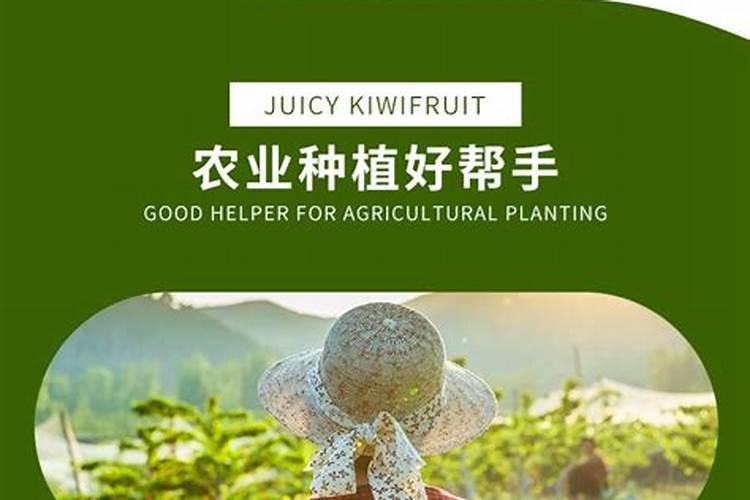 鱼蛋白在葡萄上色期可以使用吗