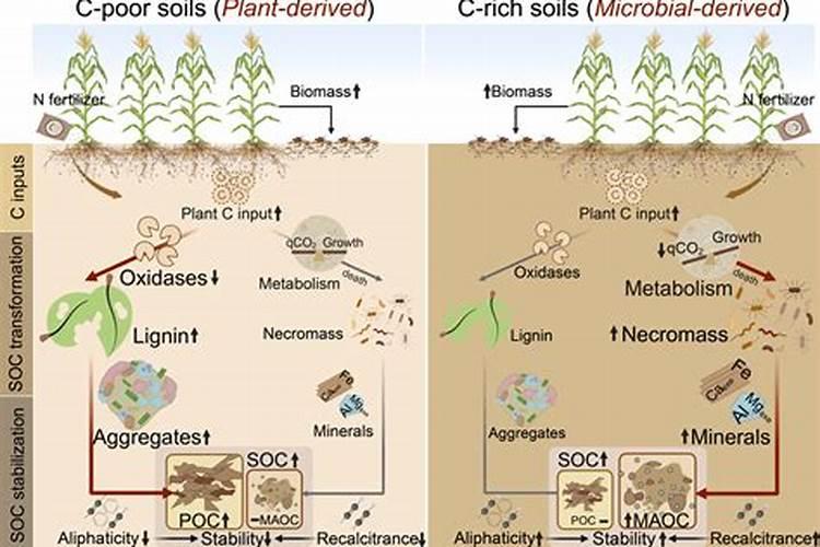 氮肥有哪些区别,怎么自制氮肥