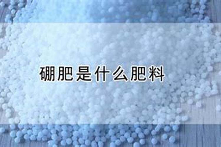 硼肥怎么样？如何使用？