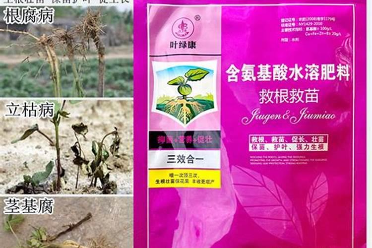 叶面肥是不是膨大剂