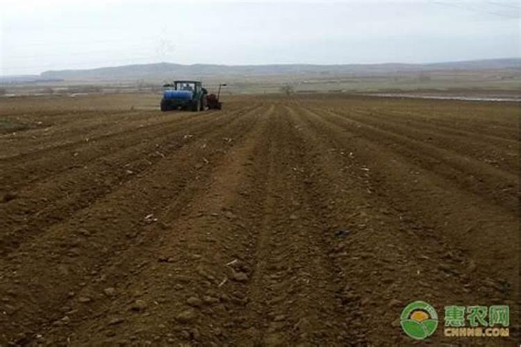 化肥长期施用后,土地变得板结了,怎么办？