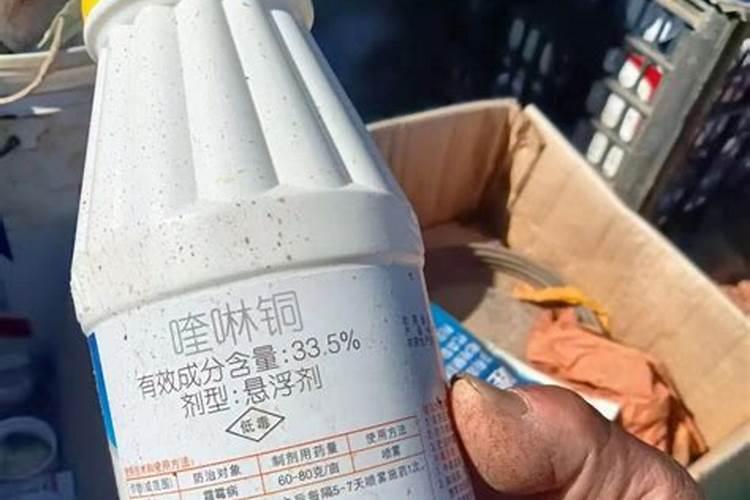 种菜用什么肥料好