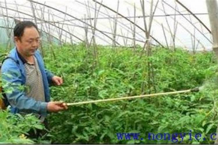 乙铝·锰锌防治病害及施用方法