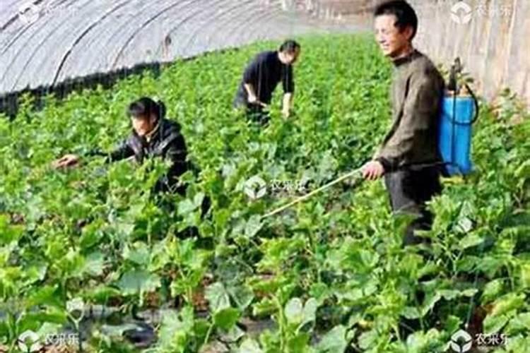 氮、磷、钾三种化肥的区别方法