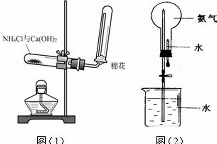 检验氮肥和钾肥