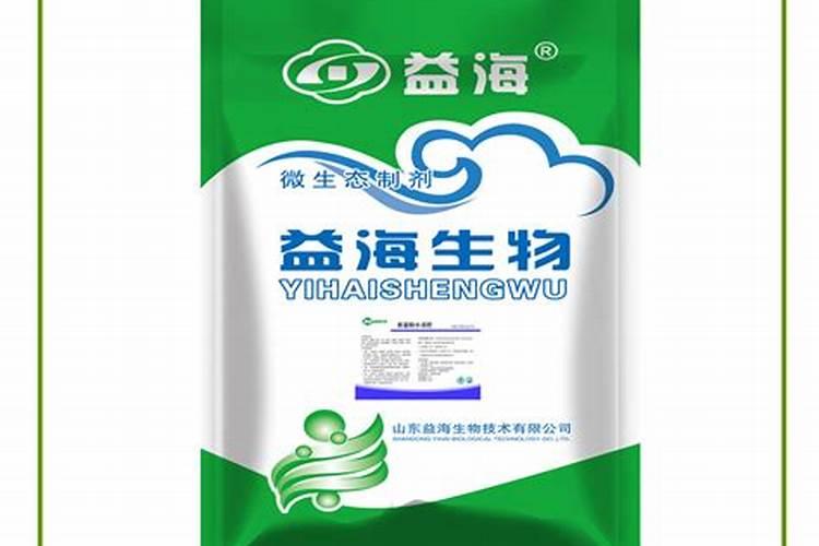 龟背竹养植方法 龟背竹怎么养才能更旺盛