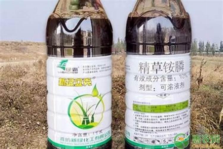 草铵膦和草甘膦哪个好 除草范围对比大全