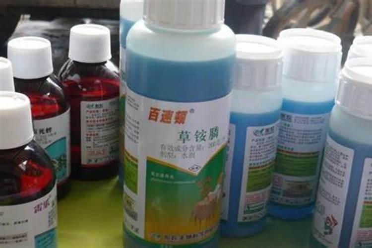 今年种植的石榴树面,地里香附子特别多,可以使用草甘膦吗