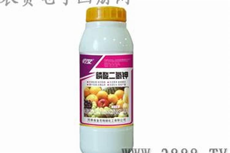 露地栽培的园林植物怎样合理施肥