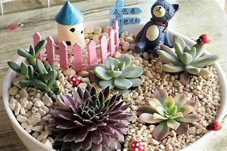 复合肥能泡水浇花吗,和直接放哪个好