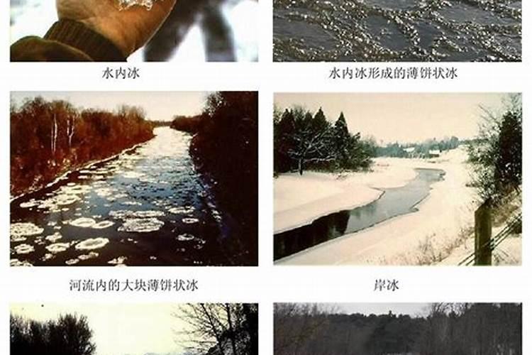 红薯容易烂是怎么回事