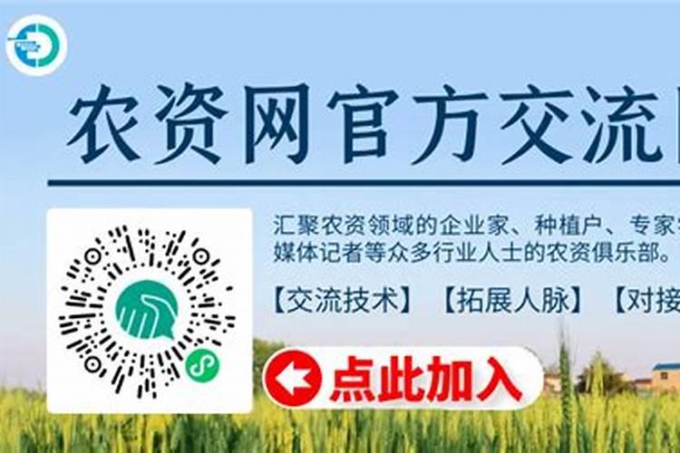 大棚西瓜底肥怎样施才合理