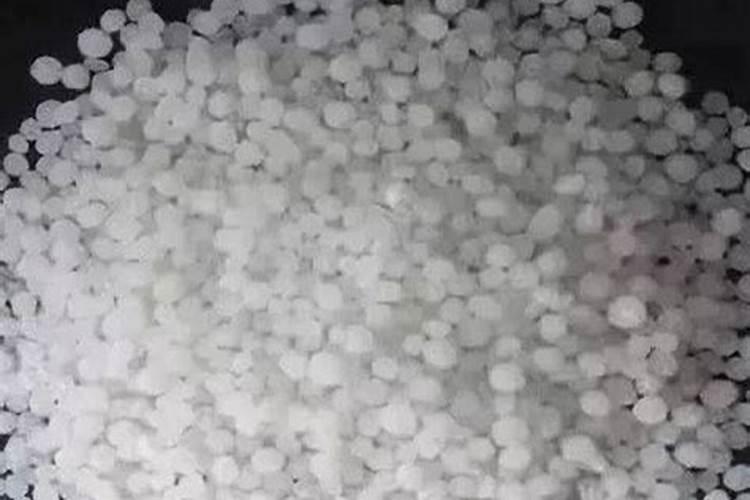 龙骨施什么肥最好