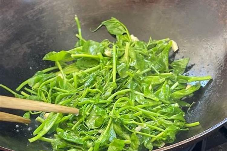 文殊兰栽培管理