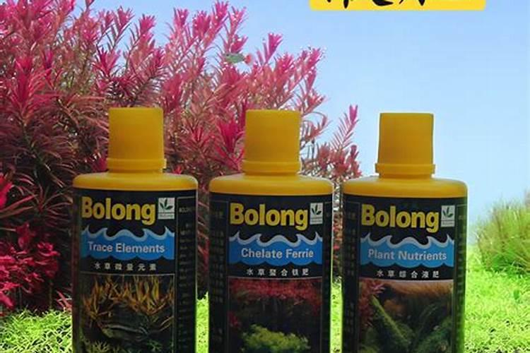 如何给水草缸施肥？