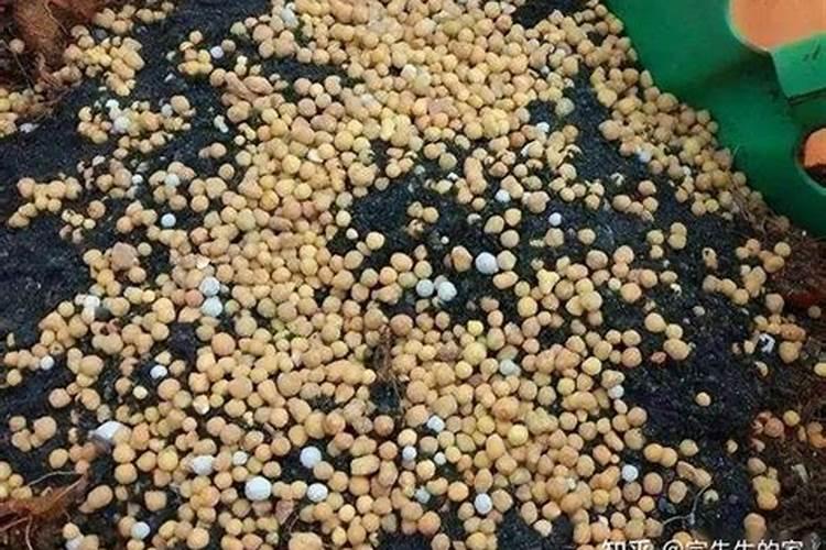 磷肥的施用方法及注意事项