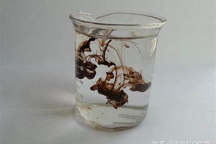 磷石膏多少钱一吨？谁能告诉我啊