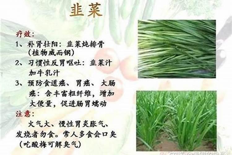 韭菜用什么肥料