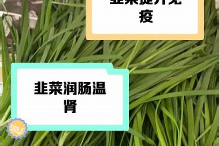 韭菜软是缺钾肥还是缺钙肥