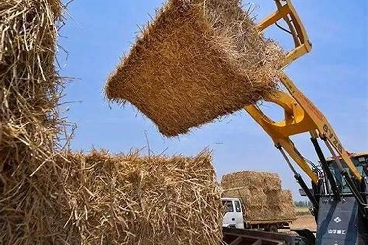 如何自制钾肥 自制钾肥用什么原料