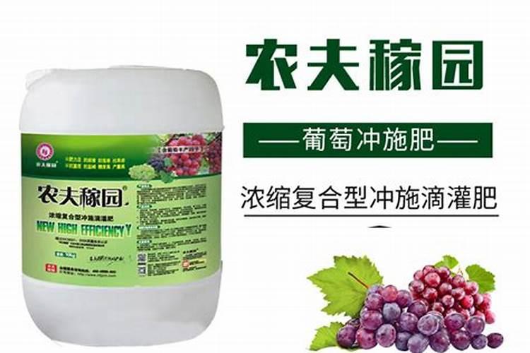 为什么葡萄施肥的第一大忌,会是基肥春施？春施基肥效果不好