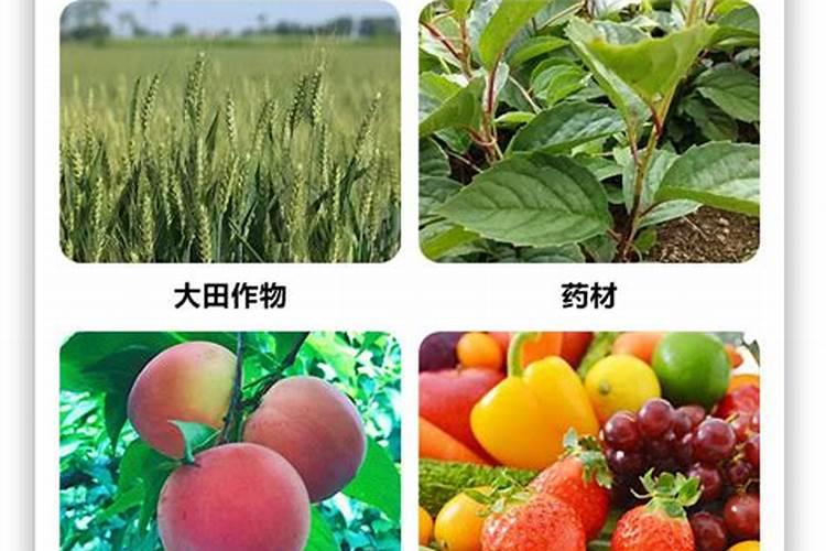 磷酸二氢钾的作用及使用方法及注意事项