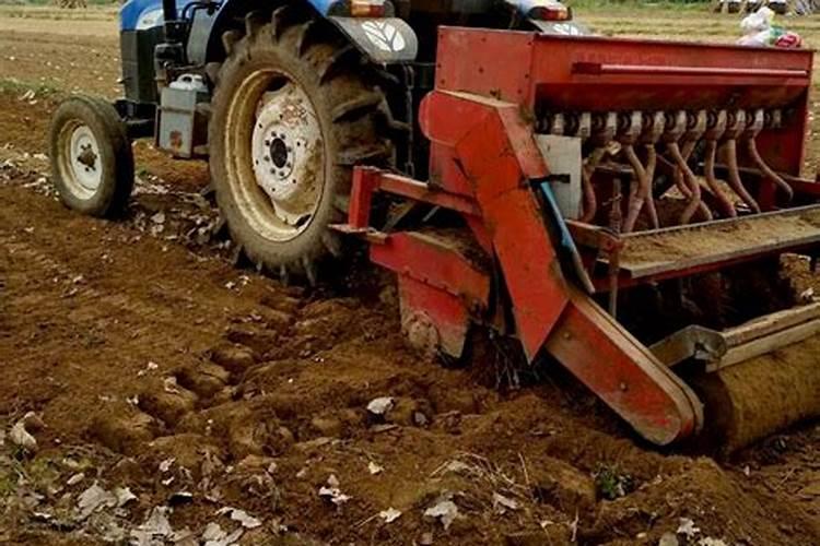 14羟基芸苔素正确使用方法