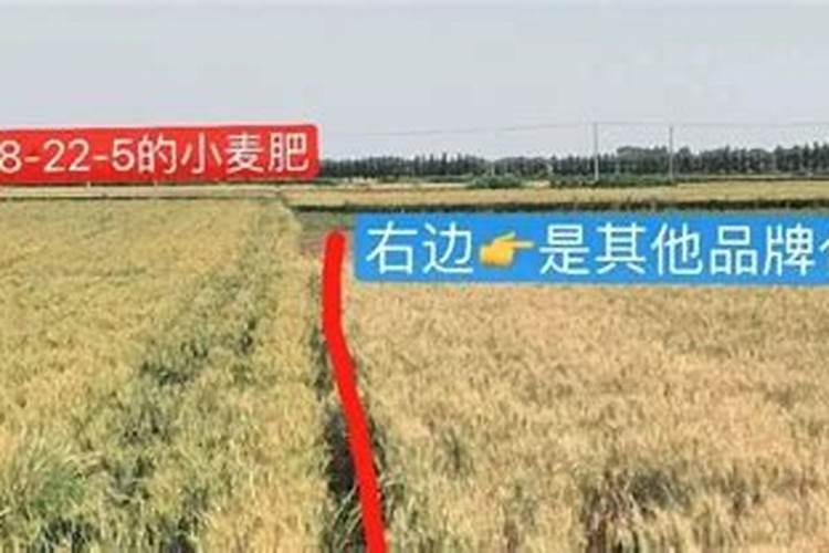 红牛钾肥怎么辨别真假