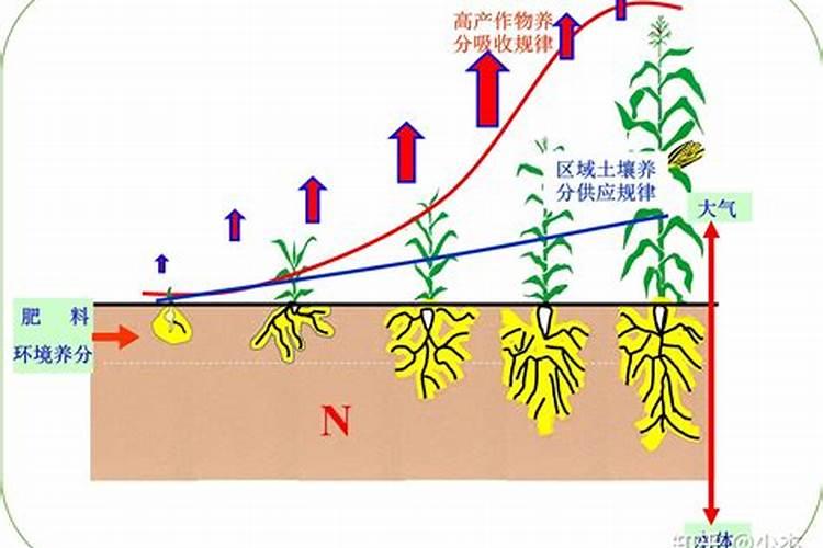 花生皮营养有多好？有一种情况千万别碰!