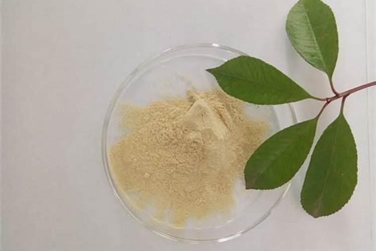 大豆什么时候施肥 大豆施肥的最佳时期