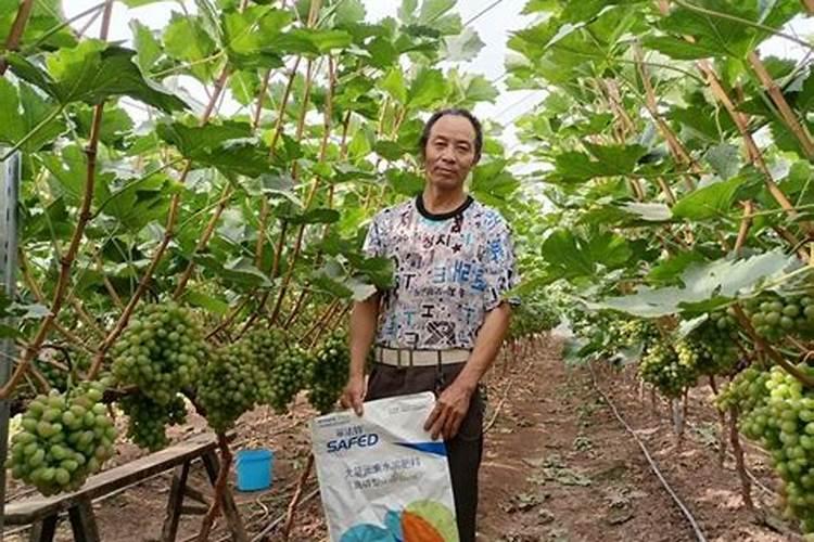 施什么肥果实长得均匀呢