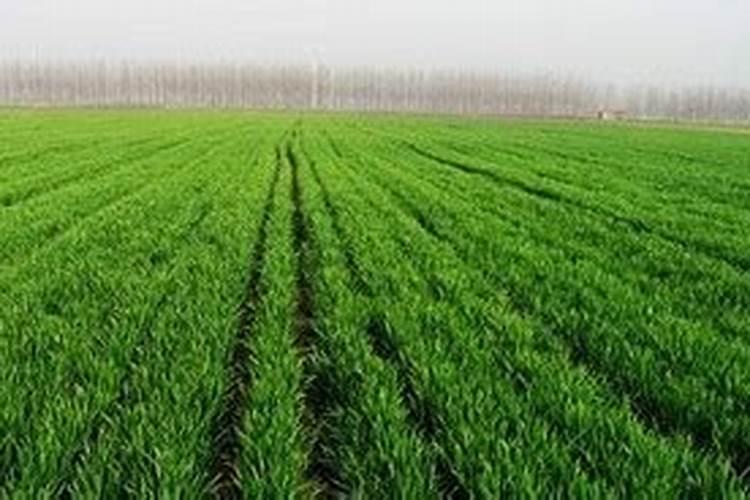 含油废水的处理办法