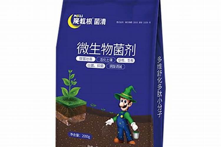 辣椒树一定要晒太阳吗