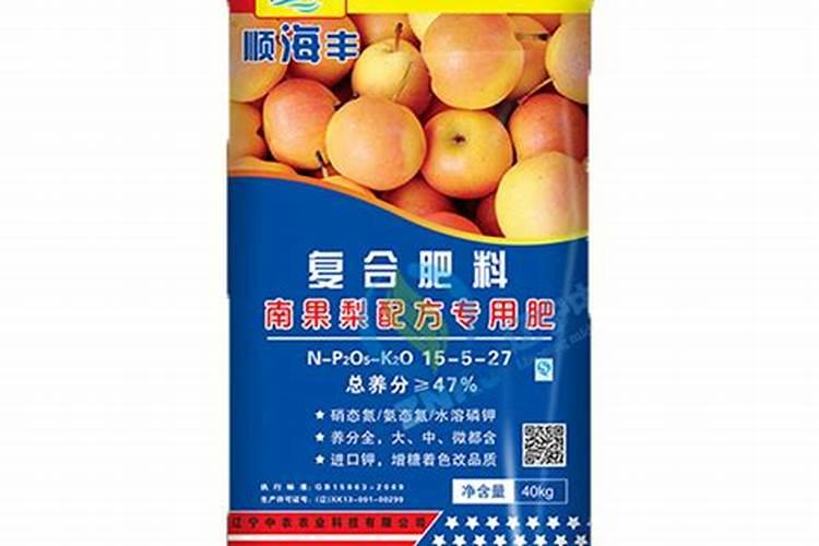 南果梨的高产种植技术