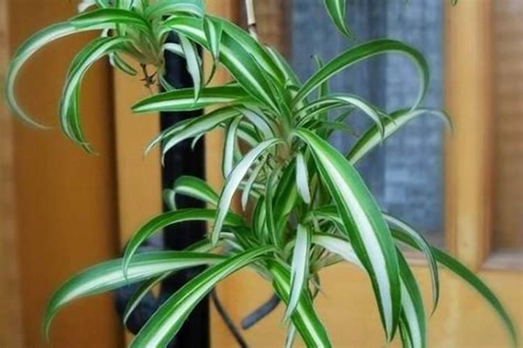 1.3千克是多少毫升？