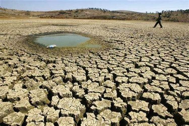 钾盐和钾肥的区别