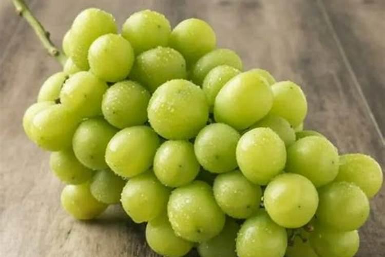 听说阳光玫瑰葡萄味道不错,有人吃过吗？