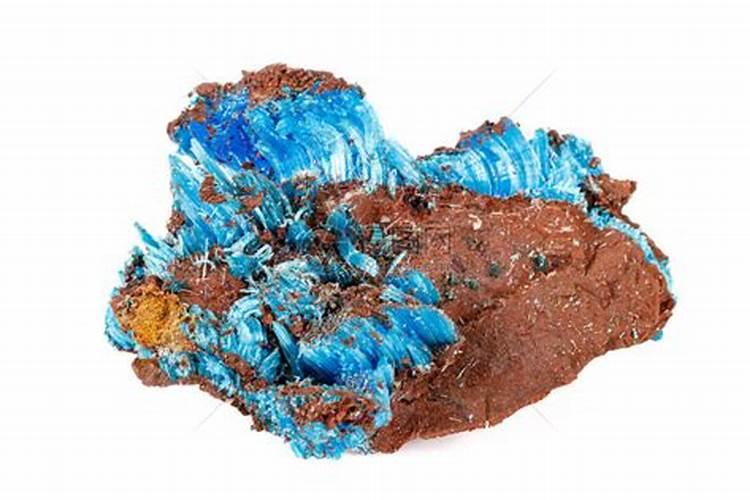 买了鲜花回来怎么保鲜 石炭酸等都有效果