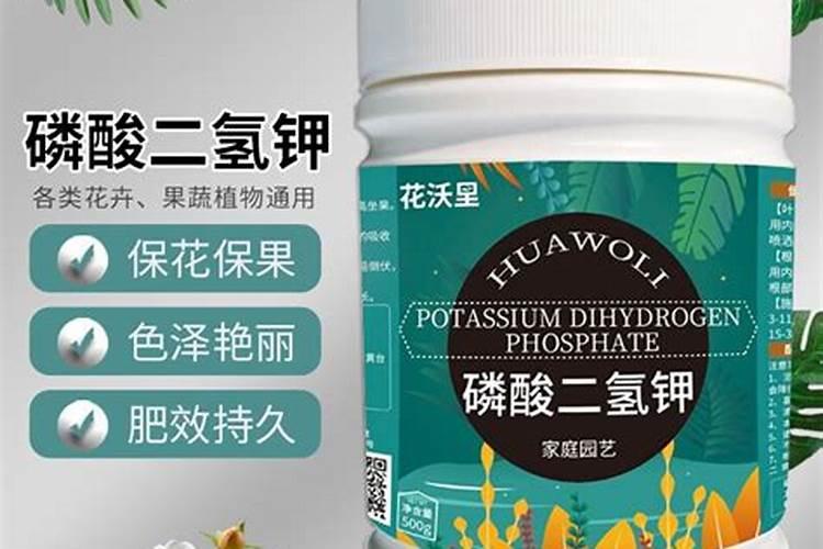 磷酸二氢钾怎么给长寿花施肥