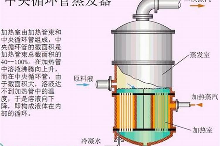 连翅开花后需要打什么药坐果好呢